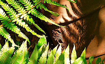 网页在线DDOS压力测试