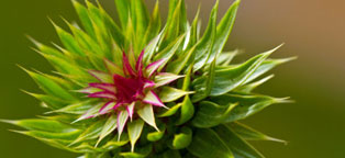 免费ddos压力测试平台